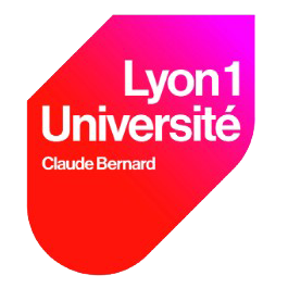 Logo Polytech Lyon